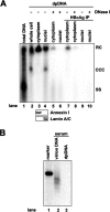 FIG. 7.