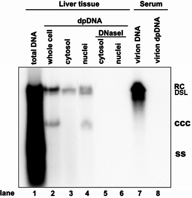 FIG. 8.