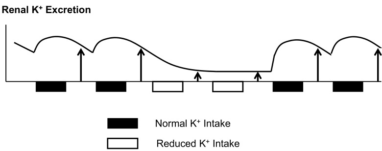 Fig. 7.