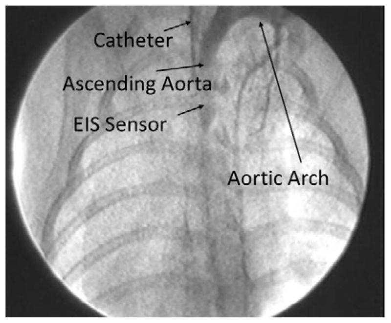 Fig. 5