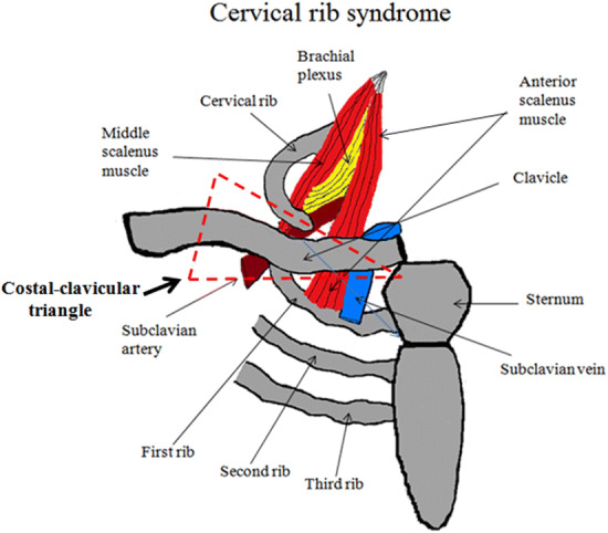 Fig. 4