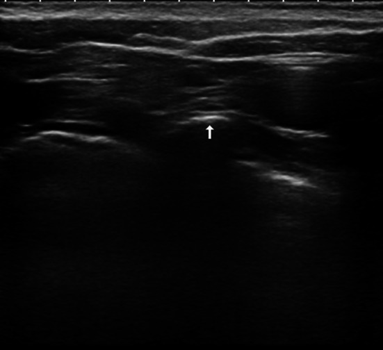 Fig. 8