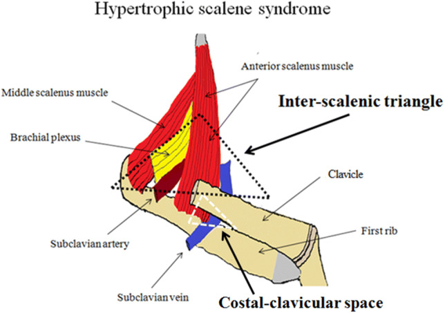 Fig. 7