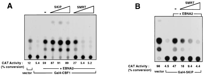 FIG. 6