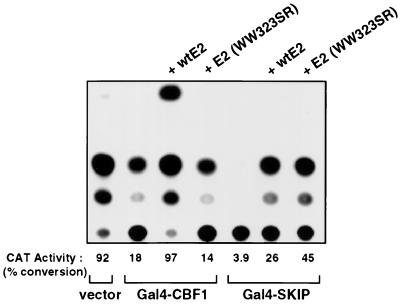 FIG. 7