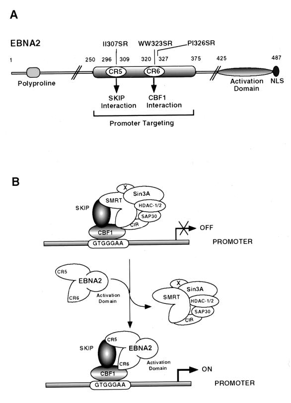 FIG. 9