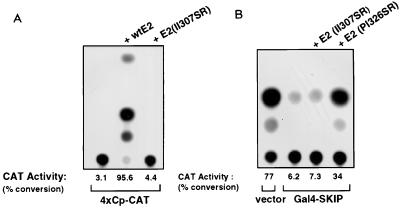 FIG. 8