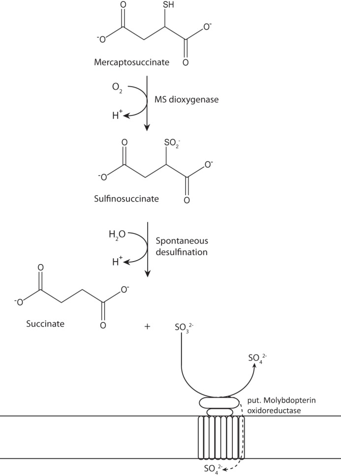 FIGURE 7.