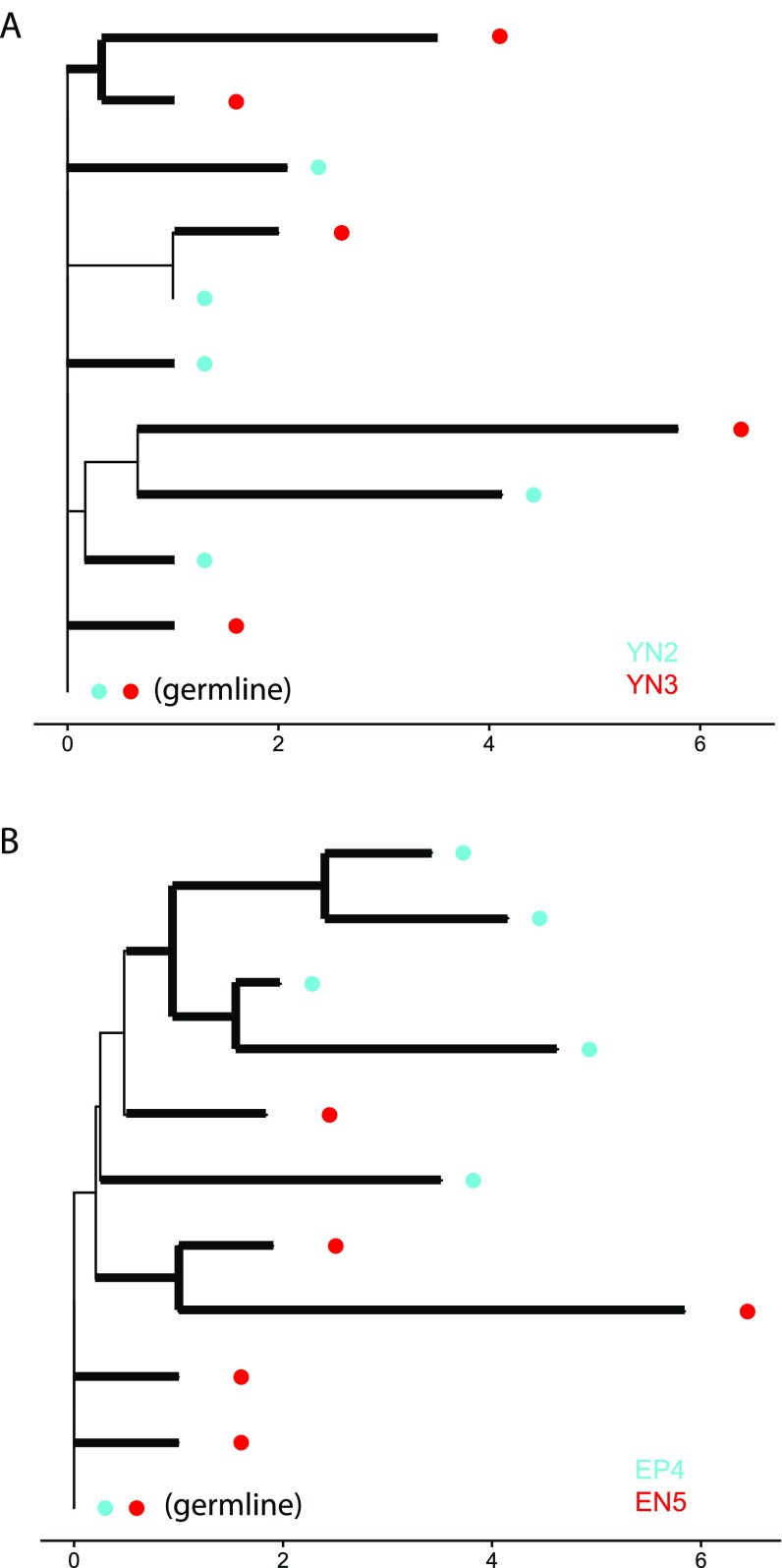 Fig. S6.