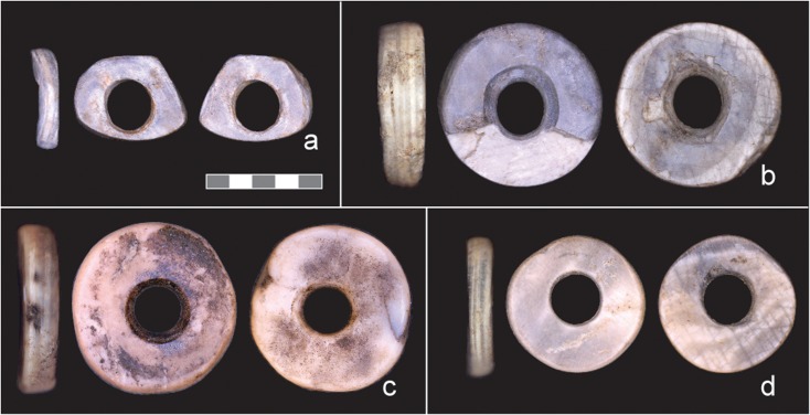 Fig. 3