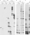 FIG 6