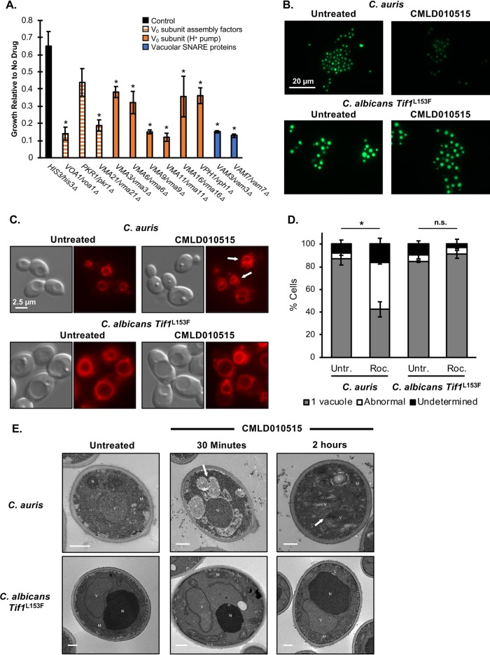 FIG 4