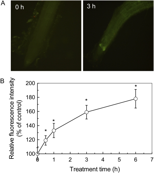 Figure 6.