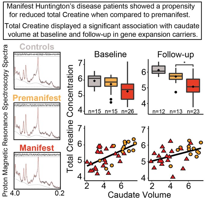 Graphical abstract