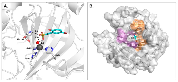 Figure 9