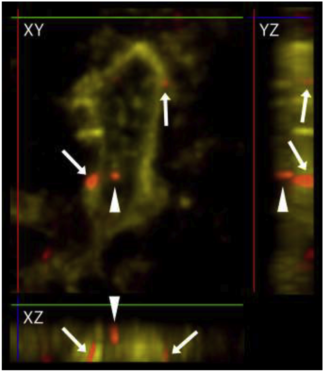 Figure 1.