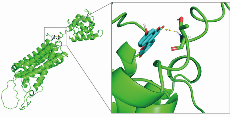 Figure 4