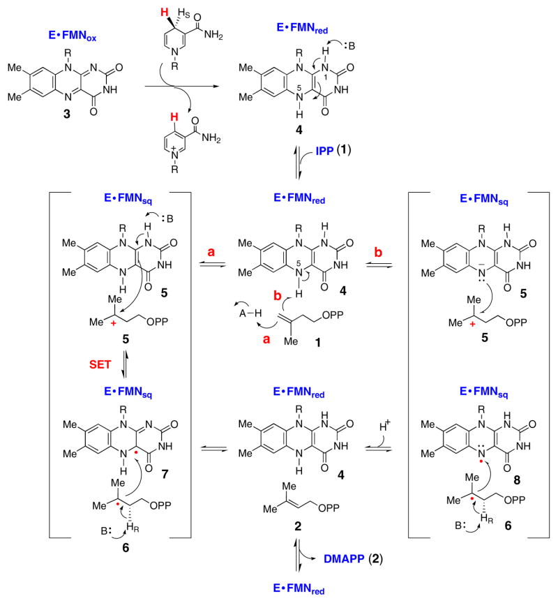 Scheme 3