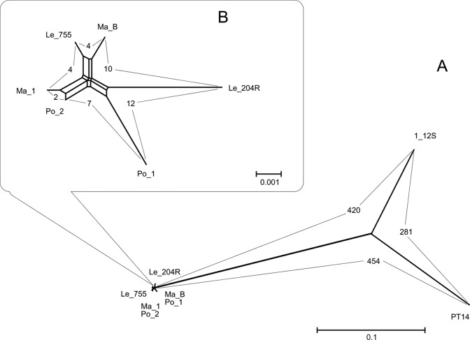 FIG 1