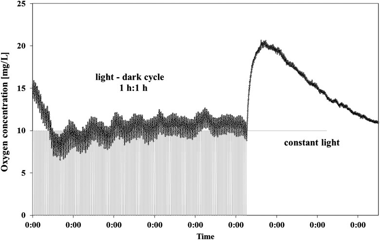 FIG. 2.