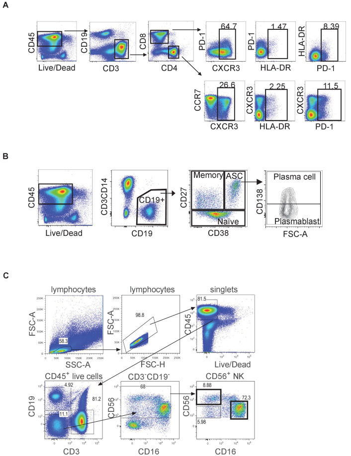 Figure 3—figure supplement 1.