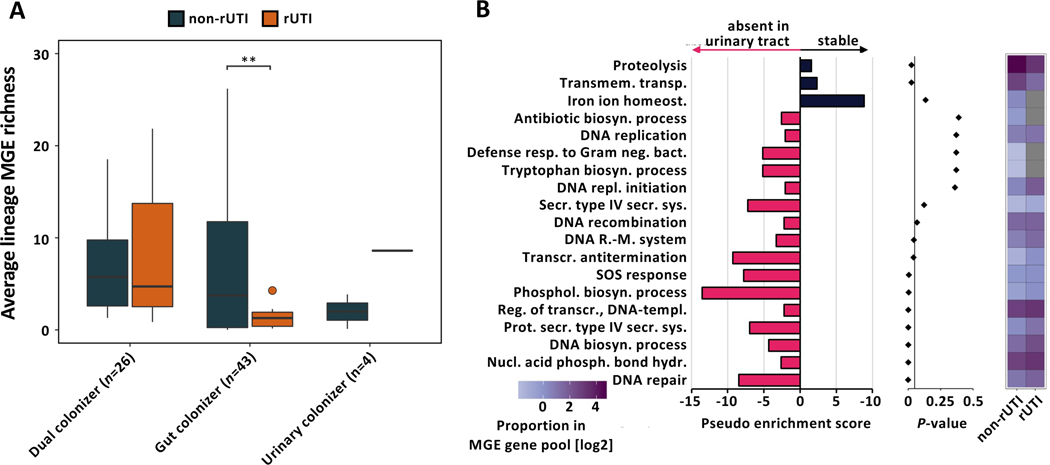 Figure 6 |