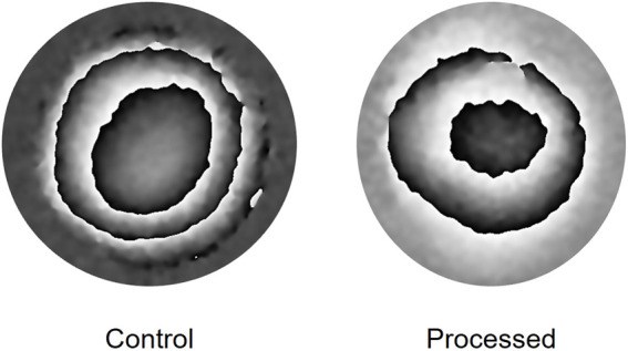 FIGURE 3