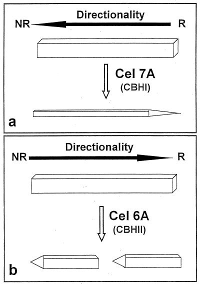 FIG. 8