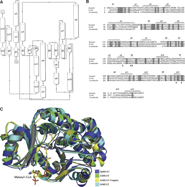 Figure 2.