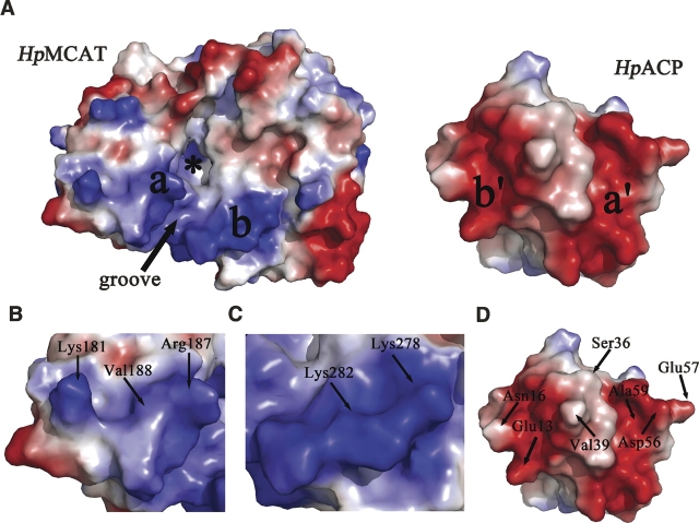 Figure 5.