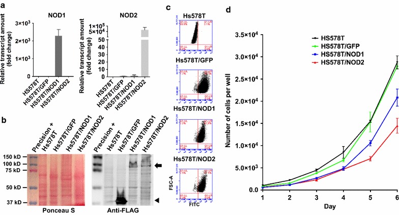 Fig. 2