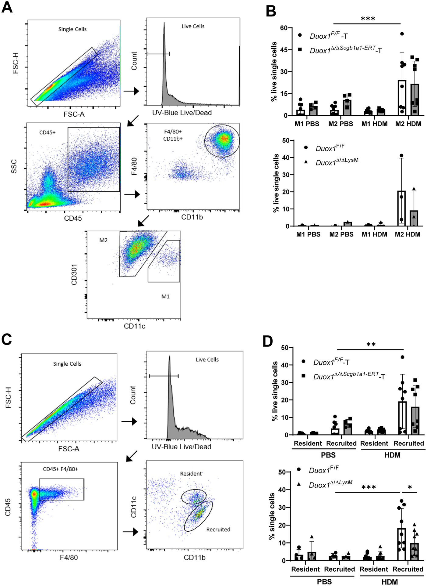 Figure 6: