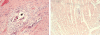 Figure 5)