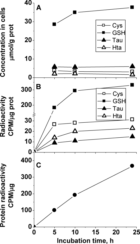 FIGURE 7.