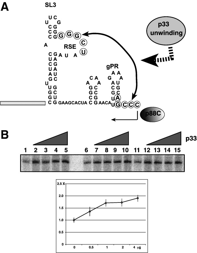 Fig. 6