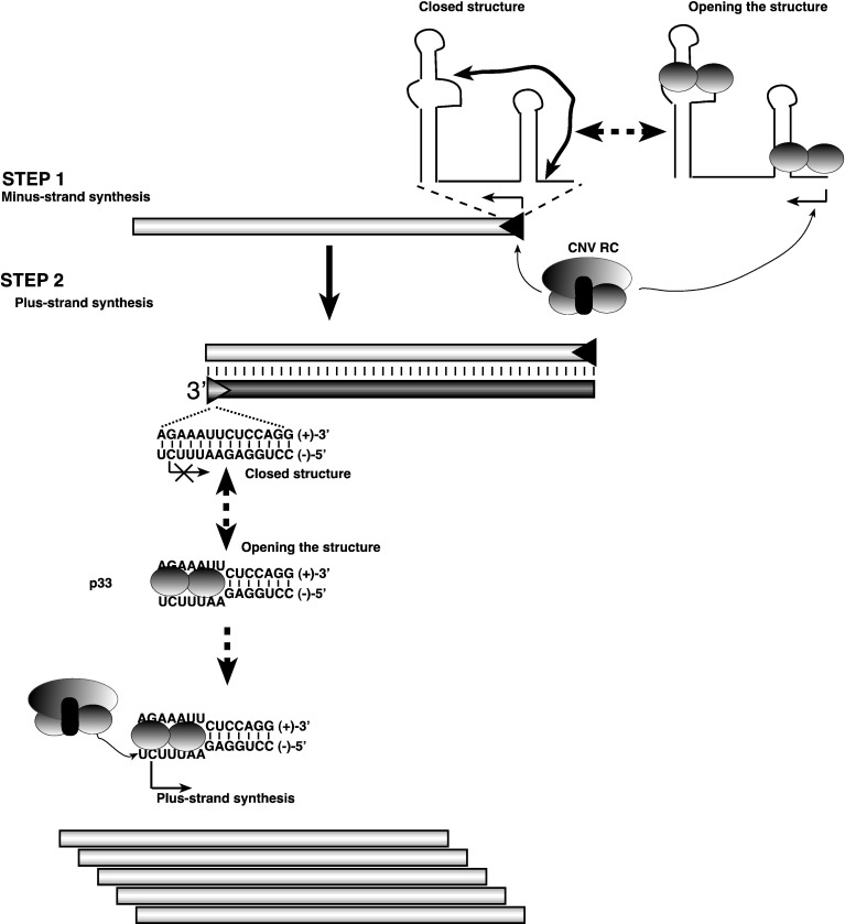 Fig. 8