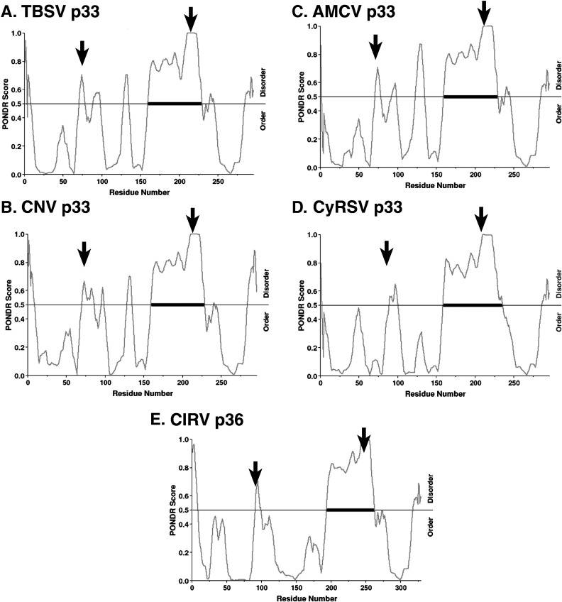 Fig. 7