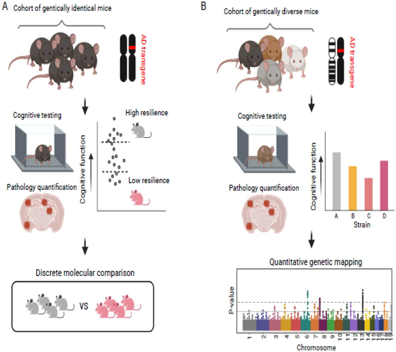 Figure 2: