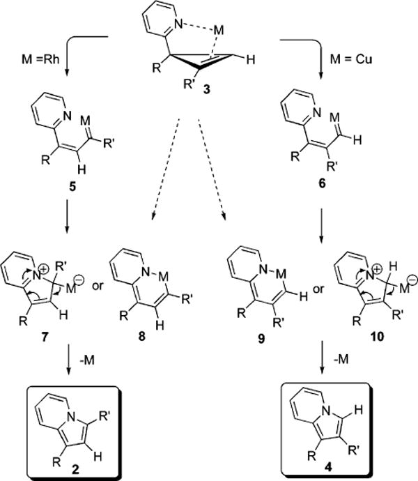 Scheme 1