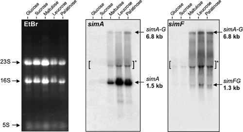 FIG. 6.