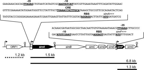 FIG. 7.