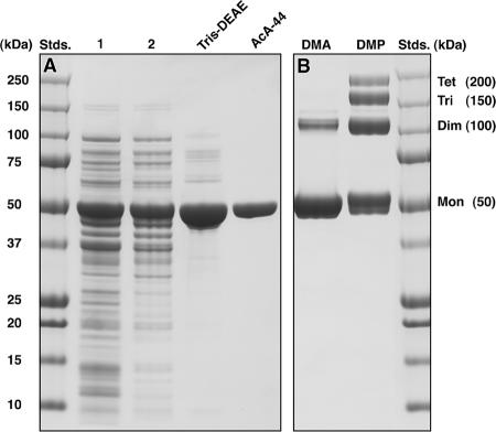 FIG. 5.