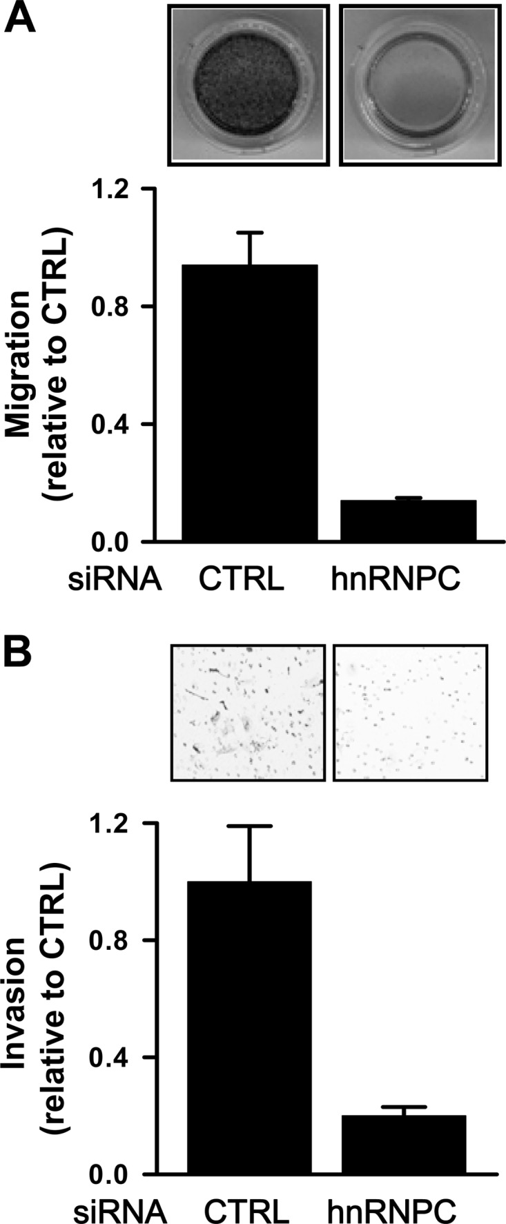 Fig 5