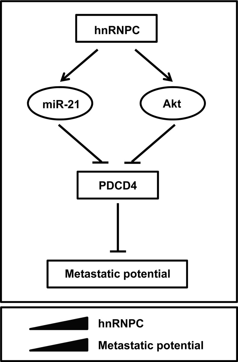 Fig 8