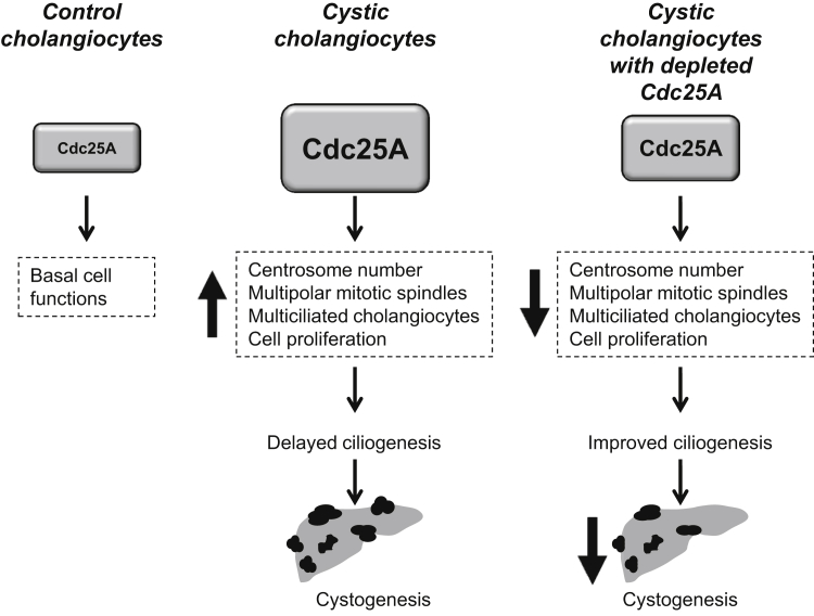 Figure 10