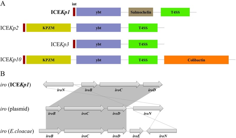 FIG 2