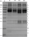 Fig 4