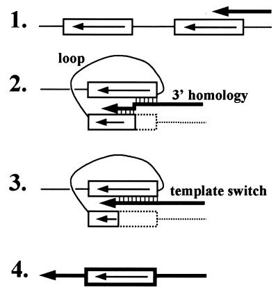 FIG. 7