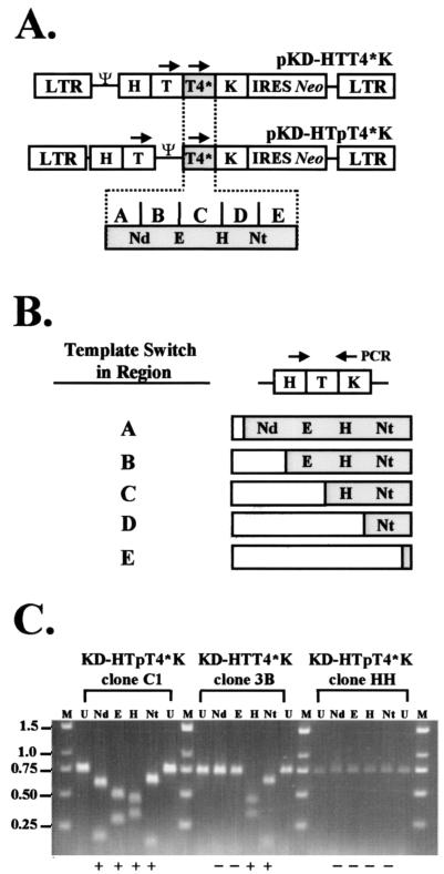 FIG. 4