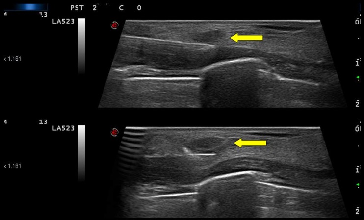 Fig. 8